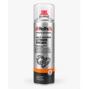 MAST LITIJEVA PROFESSIONAL 500ml. /HOLTS 951231 80